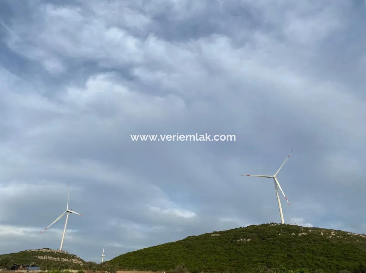 Seferihisar Düzce Köyünde 2628M2 Satılık Mandalina Bahçesi