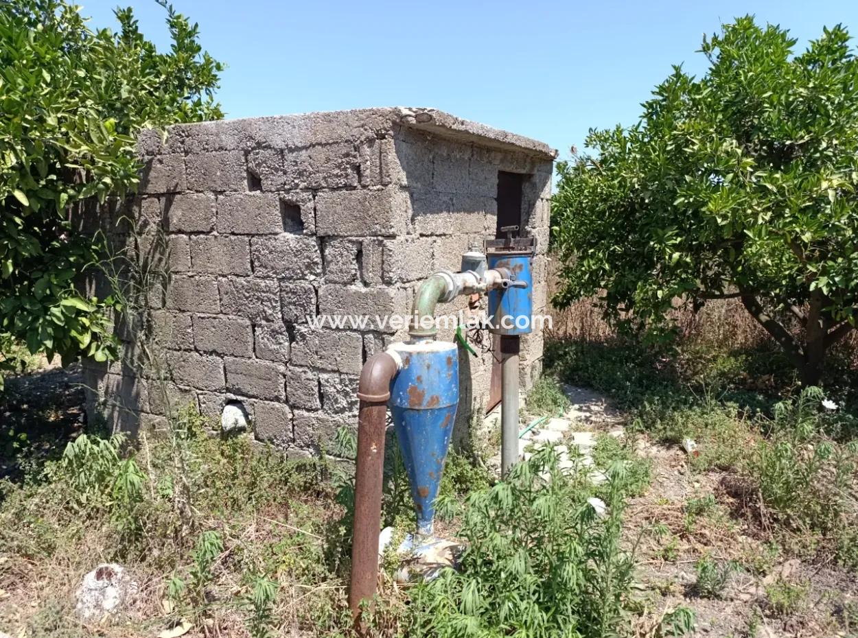 Akarca'da Mandalina Bahçesi: Eşsiz Bir Yatırım Fırsatı!