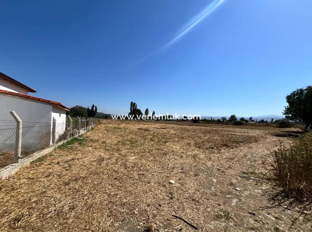 Seferihisar Düzce Mahallesinde Eşsiz Tarla