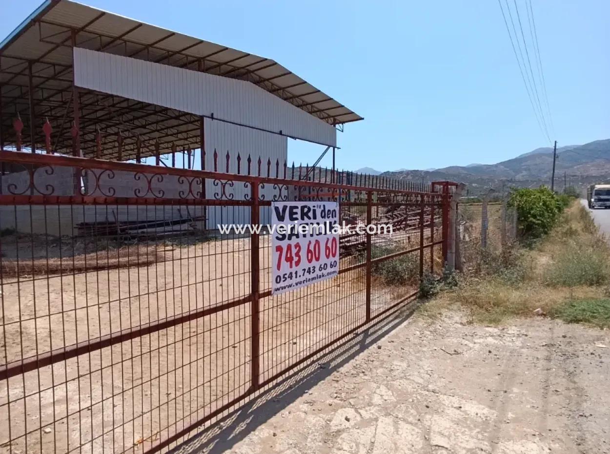 Tire Peşrefli'de Çiftlik Yapımına Uygun Büyük Arsa - Yatırım Fırsatı!