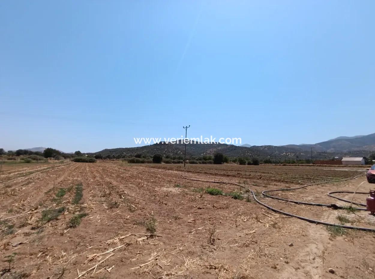 Tire Peşrefli'de Çiftlik Yapımına Uygun Büyük Arsa - Yatırım Fırsatı!