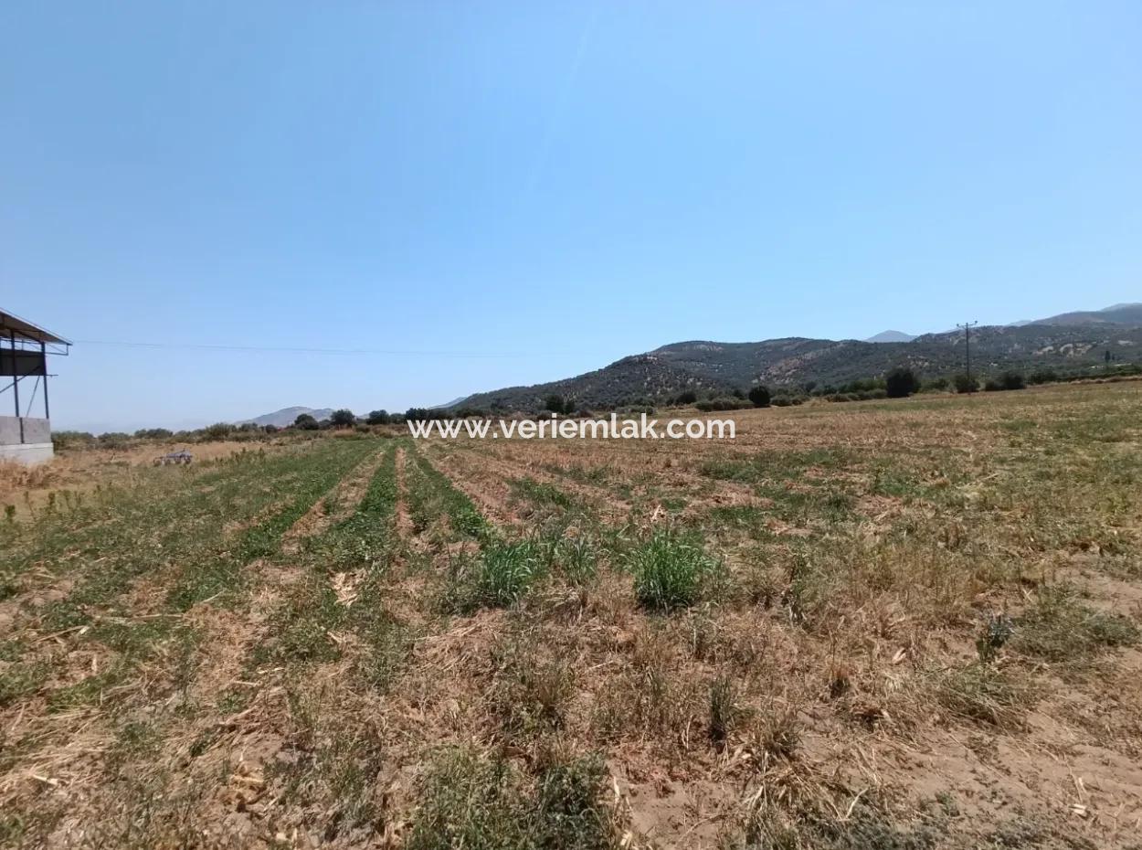 Tire Peşrefli'de Çiftlik Yapımına Uygun Büyük Arsa - Yatırım Fırsatı!