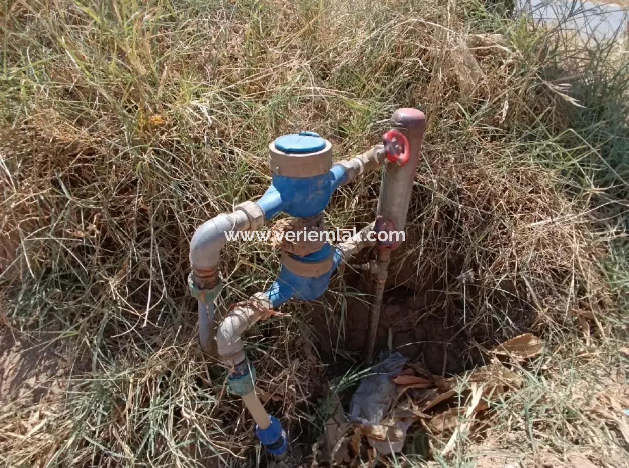 Tire Peşrefli'de Çiftlik Yapımına Uygun Büyük Arsa - Yatırım Fırsatı!