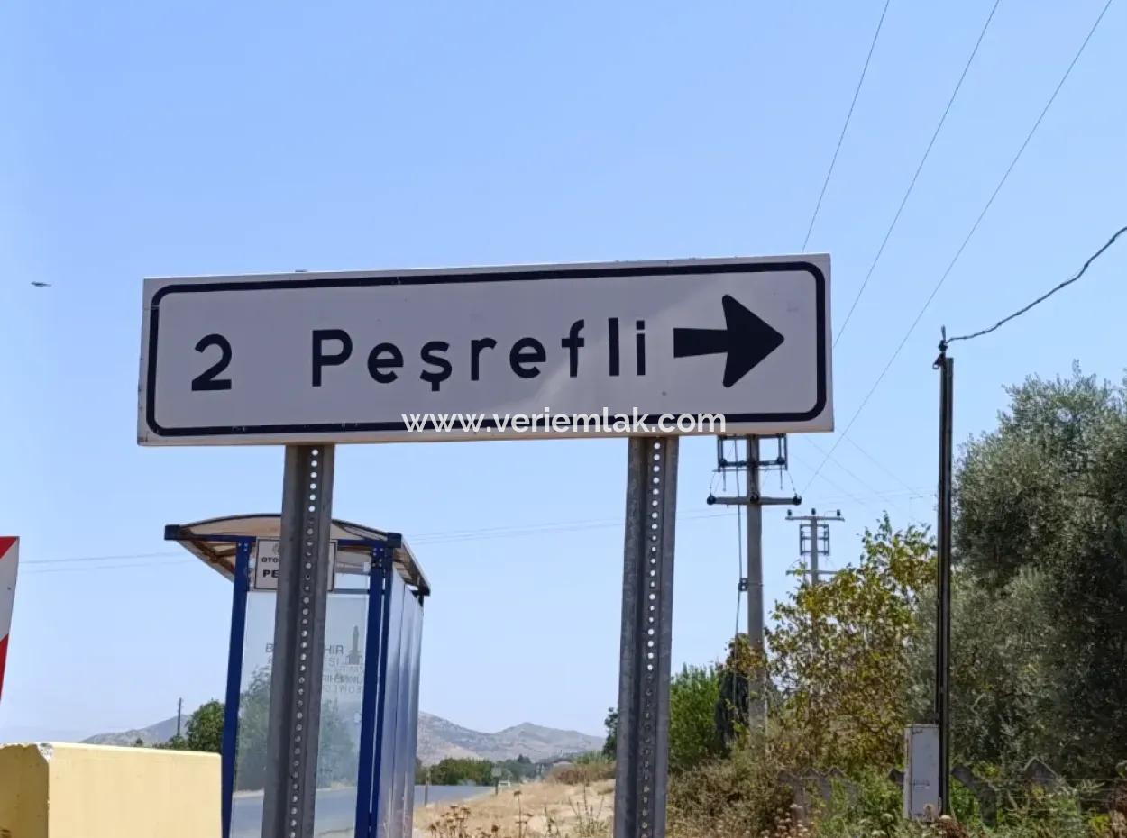 Tire Peşrefli'de Çiftlik Yapımına Uygun Büyük Arsa - Yatırım Fırsatı!