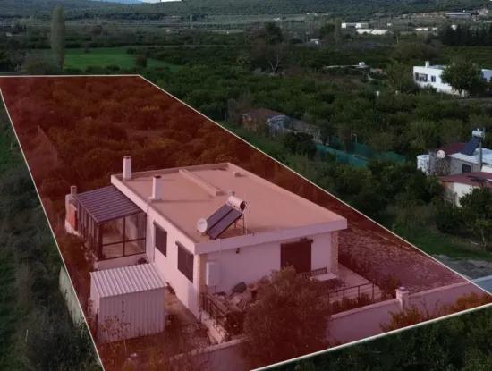 Seferihisar Düzce Mahallesinde 2075 M2 Mandalina Bahçesinde Satılık Müstakil Ev