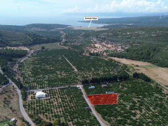 Seferihisar Düzce’de Satılık 2.628,64 M² Mandalinlik