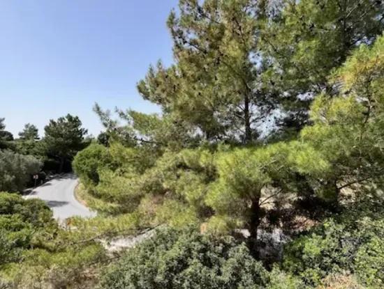 Urla Rüstem'de Özbek Yolunda 20 Dönüm İmara Yakın Arazi