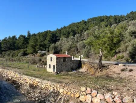 Seferihisar Kavakdere’de 1800 M² Arsa İçinde Taş Ev Ve Zeytinlik