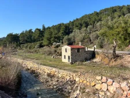 Seferihisar Kavakdere’de 1800 M² Arsa İçinde Taş Ev Ve Zeytinlik