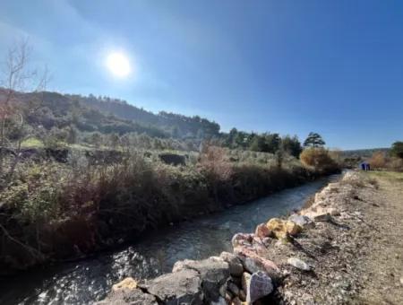 Seferihisar Kavakdere’de 1800 M² Arsa İçinde Taş Ev Ve Zeytinlik