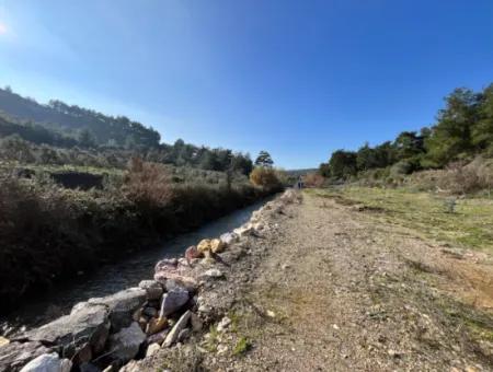 Seferihisar Kavakdere’de 1800 M² Arsa İçinde Taş Ev Ve Zeytinlik