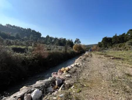Seferihisar Kavakdere’de 1800 M² Arsa İçinde Taş Ev Ve Zeytinlik