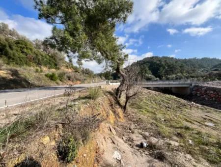 Seferihisar Kavakdere’de 1800 M² Arsa İçinde Taş Ev Ve Zeytinlik