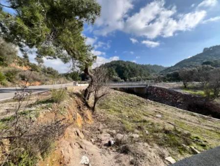Seferihisar Kavakdere’de 1800 M² Arsa İçinde Taş Ev Ve Zeytinlik