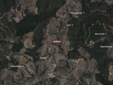 Seferihisar Gödence’de Anayola Yakın, Yatırımlık Satılık Zeytinlik