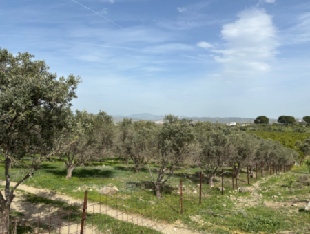 Seferihisar Hıdırlık Mahallesinde Deniz Manzaralı Satılık 8574 M2 Tarla