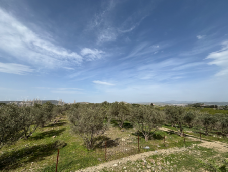 Seferihisar Hıdırlık Mahallesinde Deniz Manzaralı Satılık 8574 M2 Tarla