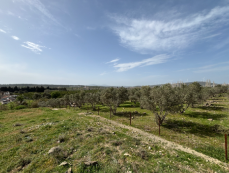 Seferihisar Hıdırlık Mahallesinde Deniz Manzaralı Satılık 8574 M2 Tarla
