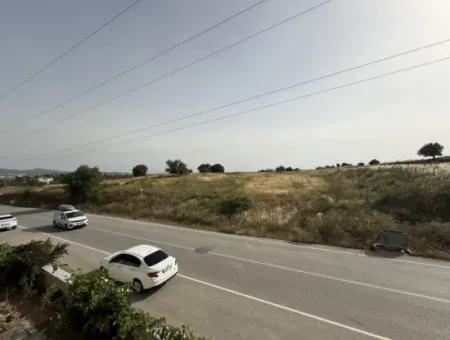 Seferihisar Camikebir Mahallesi Gözsüzler Caddesi Üzerinde Kiralık Geniş Ve Kullanışlı 2+1 Daire