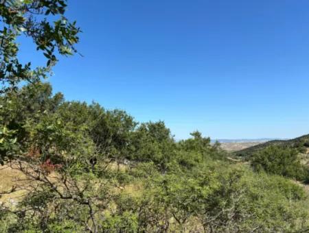 Doğanbey Atatürk Mahallesi'nde Yeni İmar Geçmiş, Villa İmarlı 311 M² Parsel