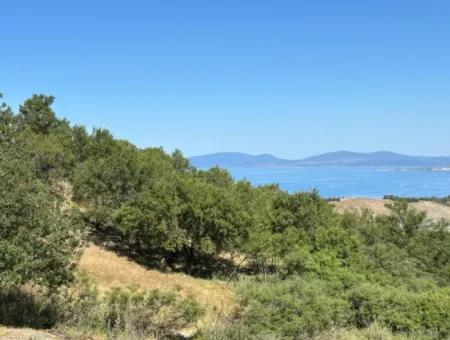 Doğanbey Atatürk Mahallesi'nde Yeni İmar Geçmiş, Villa İmarlı 311 M² Parsel