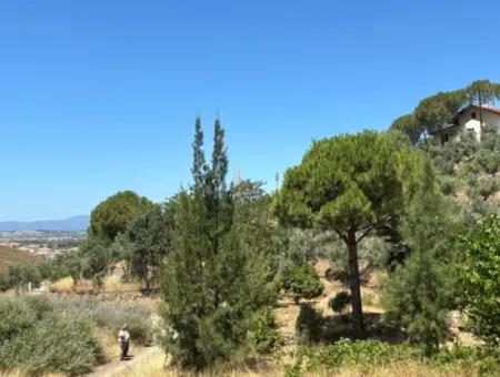 Seferihisar Bahçeköy Bölgesinde Yatırımlık Villa İmarlı Arsa!