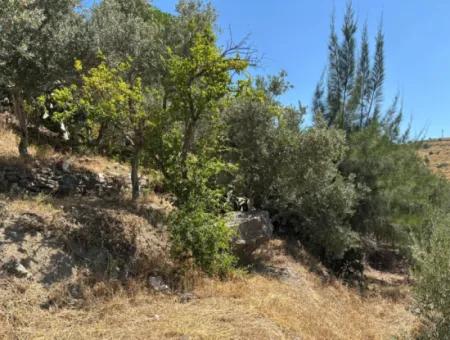 Seferihisar Bahçeköy Bölgesinde Yatırımlık Villa İmarlı Arsa!