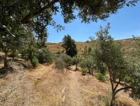 Seferihisar Bahçeköy Bölgesinde Yatırımlık Villa İmarlı Arsa!