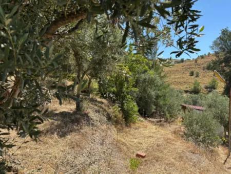 Seferihisar Bahçeköy Bölgesinde Yatırımlık Villa İmarlı Arsa!