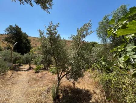 Seferihisar Bahçeköy Bölgesinde Yatırımlık Villa İmarlı Arsa!