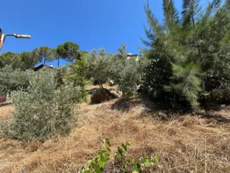 Seferihisar Bahçeköy Bölgesinde Yatırımlık Villa İmarlı Arsa!