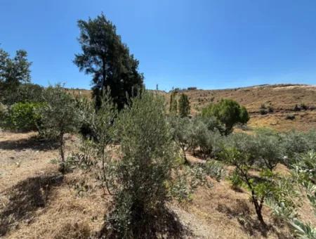Seferihisar Bahçeköy Bölgesinde Yatırımlık Villa İmarlı Arsa!