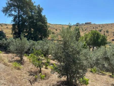 Seferihisar Bahçeköy Bölgesinde Yatırımlık Villa İmarlı Arsa!