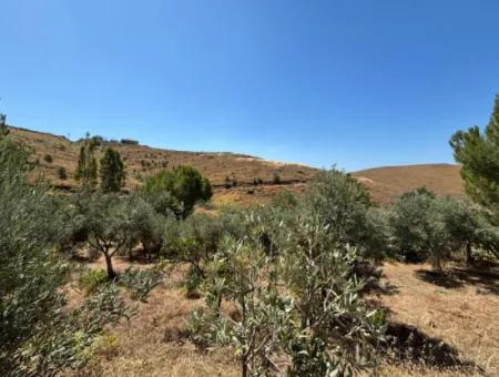 Seferihisar Bahçeköy Bölgesinde Yatırımlık Villa İmarlı Arsa!