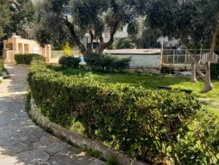Kuşadası Zeytin Tepe Sitesi’nde Havuzlu, Eşyalı 2+1 Kiralık Daire