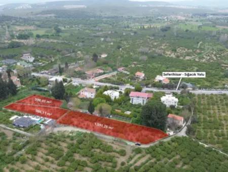 Veri'den Sığacık'ta 3 Ayrı Tapu Satılık Naranciye Bahçesi!