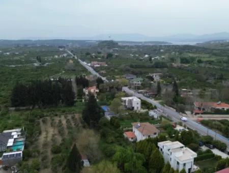 Veri'den Sığacık'ta 3 Ayrı Tapu Satılık Naranciye Bahçesi!