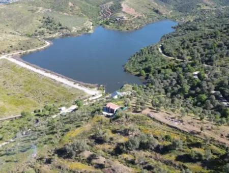 Seferihisar Ulamış’ta Satılık Zeytinlik | Vadi Ve Göl Manzaralı