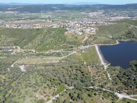 Seferihisar Ulamış’ta Satılık Zeytinlik | Vadi Ve Göl Manzaralı