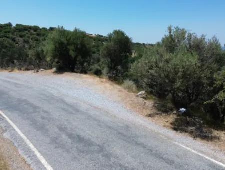 Seferihisar Devlet Hastanesi Üzerinde Ana Yol Cepheli 11.800 M² Satılık Arazi | Yatırım İçin Eşsiz Fırsat