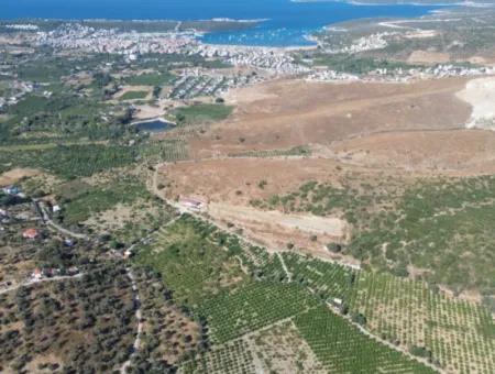 Seferihisar Sığacık Taşdibi Mevkiinde 12.901 M² Mandalina Bahçesi