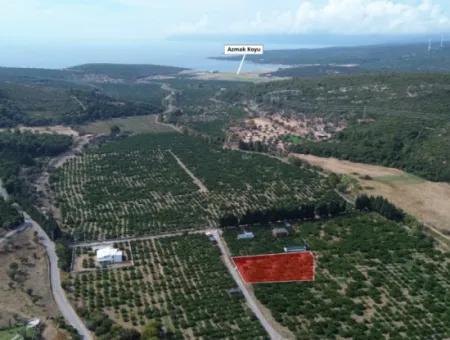 Seferihisar Düzce’de Satılık 2.628,64 M² Mandalinlik