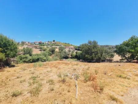 Seferihisar Ulamış'da  1000M2 İmarlı Arsa