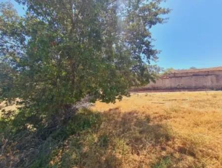 Seferihisar Ulamış'da  1000M2 İmarlı Arsa
