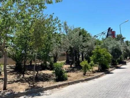 Seferihisar - İzmir Caddesinde 300M2 Kurumsal Kiracılı Satılık Dükkan