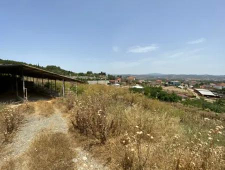 Seferihisar Turgut Köyünde 4.189 M2 Yatırıma Uygun Satılık Tarla