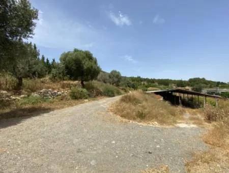 Seferihisar Turgut Köyünde 4.189 M2 Yatırıma Uygun Satılık Tarla