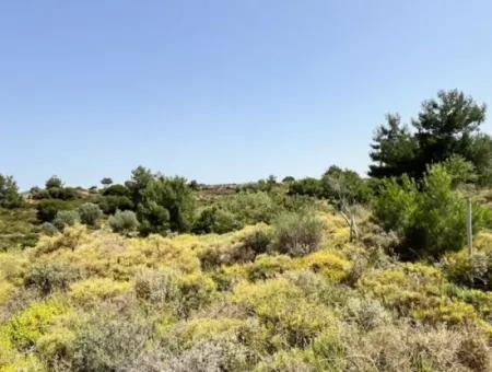 Urla Rüstem'de Özbek Yolunda 20 Dönüm İmara Yakın Arazi