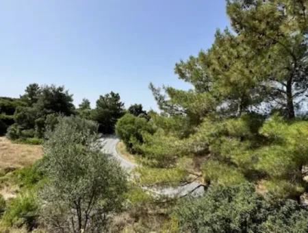 Urla Rüstem'de Özbek Yolunda 20 Dönüm İmara Yakın Arazi